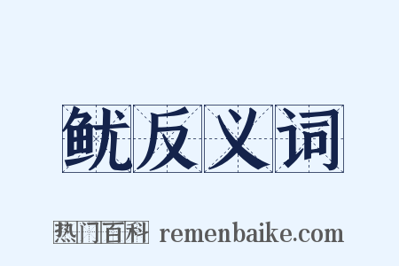 鱿反义词是什么意思的图片